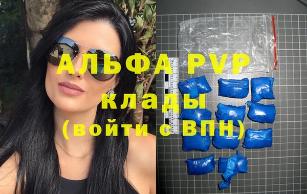 PSILOCYBIN Осинники