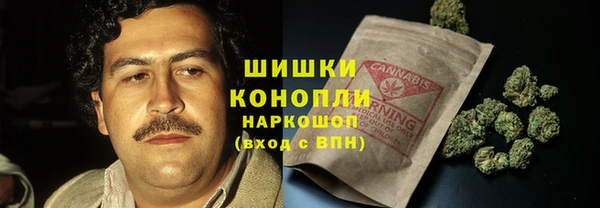 прущие грибы Переславль-Залесский