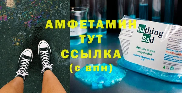 прущие грибы Переславль-Залесский