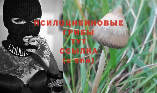 МДПВ Осташков