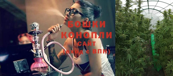 a pvp Пересвет