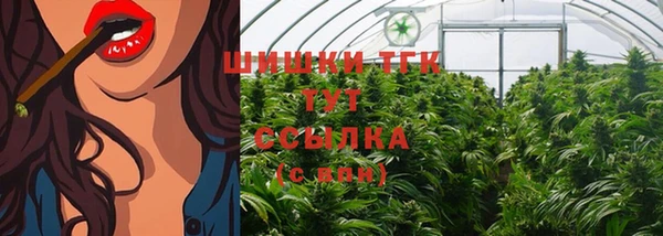 МДПВ Осташков